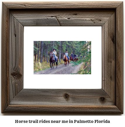 horse trail rides near me in Palmetto, Florida